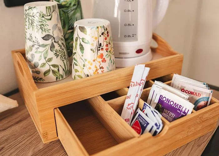 Alfonsina 乌瓜诺拉基耶萨